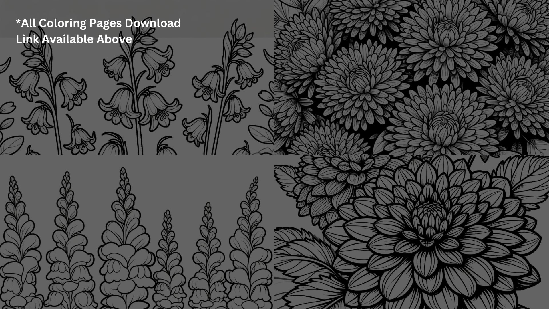 Blossoms – Completing Our 20 Flower Coloring Pages