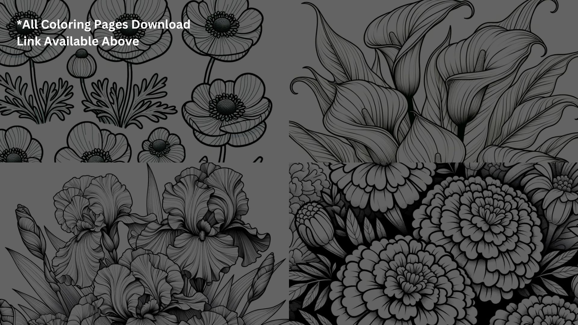 Floral Fantasies – Discovering 5 More Coloring Pages